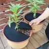 Tree Protection Weeds Mats Gardening Mulch Ring Reusable Non-Woven Fabric Plant Pot Soil Covers Degradable Weeds Barrier Mat