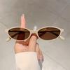 Vintage Oval Sunglasses Women  New Chic Candy Color Gradient Shades Trendy Fashion Brand Design Outdoor Sun Glasses