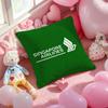 Singapore Airlines Pillow Case Plush Fabric Soft Double-Sided Printed Sofa Warm Winter Home Child Gift Cushion Cover