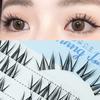 10 Rows Sunflower False Eyelashes for Women with Natural Curl Effect and Comfortable Fit