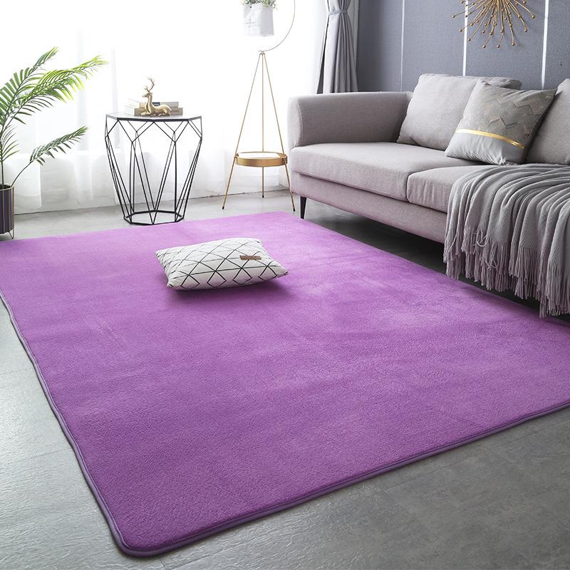 Modern Simple Style Thickened Non-Slip Coral Fleece Carpet for Living Room & Bedroom