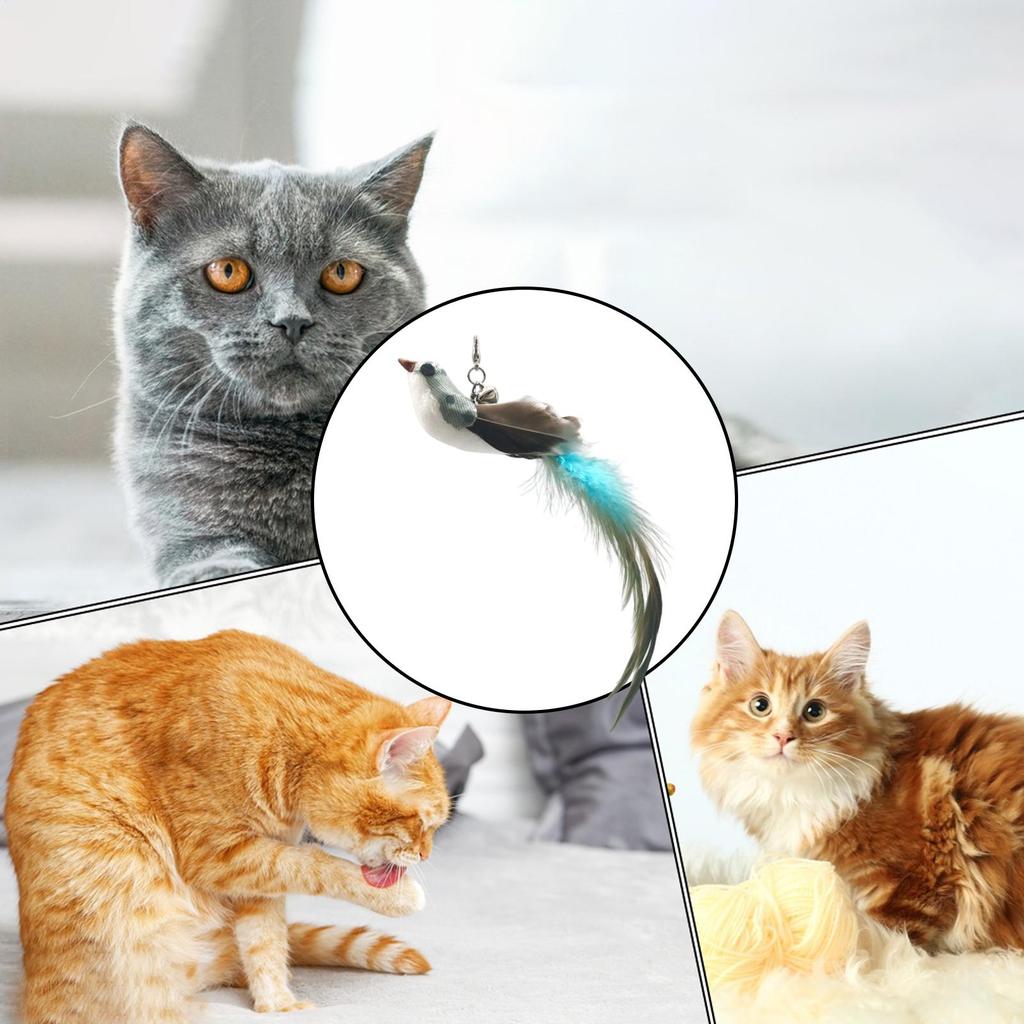 Bird Cat Toy Interactive Feathers Wand Attachment Teaser Hangable Kitten Boredom Toy With Bells For Indoor Cats Pets Boredom