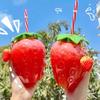 1pc-Strawberry Shaped Children's Straw Mug Clear Strawberry Juice Mug Cold Water Mug Photography Accessories
