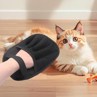 Kedi – Kedi bakım ürünleri