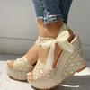 Lace Leisure Women Wedges Heeled Women Shoes 2025 Summer Sandals Party Platform High Heels Shoes Woman