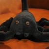 Simulation Black Scorpion Stuffed Animal Soft Creeping Playthings Unique Plushie Model Dolls Collection Ideal For Vintage Halloween