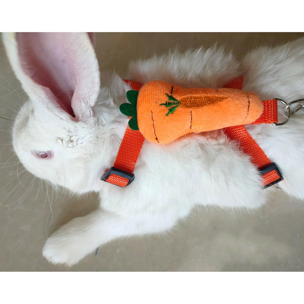 Rabbit Harnesses Small Animal Harness and Leash Set No Escape Adjustable Cute Costume for Hamster Bunny Guinea Pig