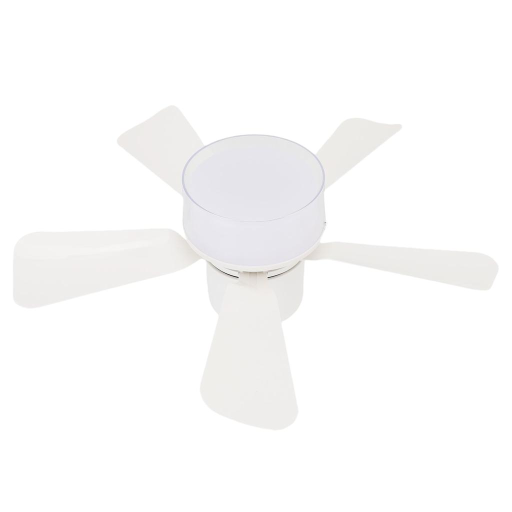 Ceiling Fan with Light 3 Colors Dimmable Quiet LED Ceiling Fan Lamp Screw in E26 Base Timer Function APP Control