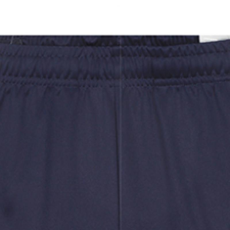 Puma Team Liga Training 3 4 Pants