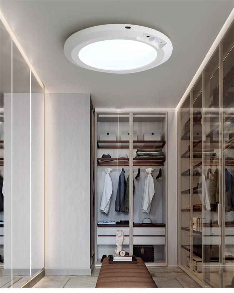 Wireless LED Ceiling Light with Motion Sensor & Remote, USB Rechargeable for Hallway, Cloakroom, or Balcony.