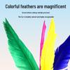 High-Quality Colorful Jianzi for Students and Children – Durable, Non-Shedding Feather Shuttlecock