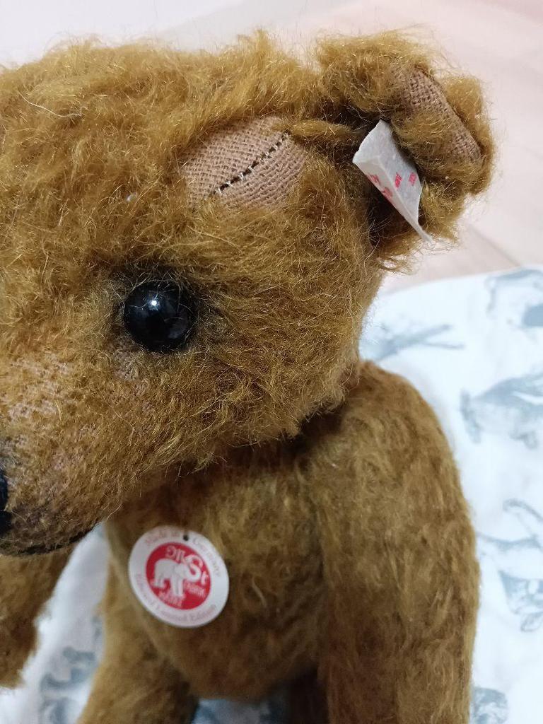 [USED] Steiff White Tag Edward Teddy Bear