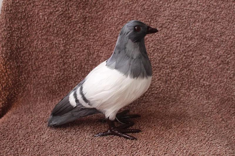 

Artificial Pigeon Animal Home Decoration Teaching Props High Quality Simulation Doves Children Gift Toy Simulation Doves