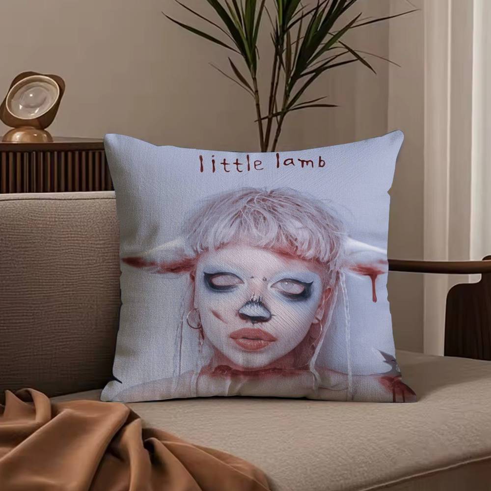 J-Jazmin B-Bean Pillow Case Anti-dustmite Pillowcase Invisible zipper silky short plush Sofa cushion cover