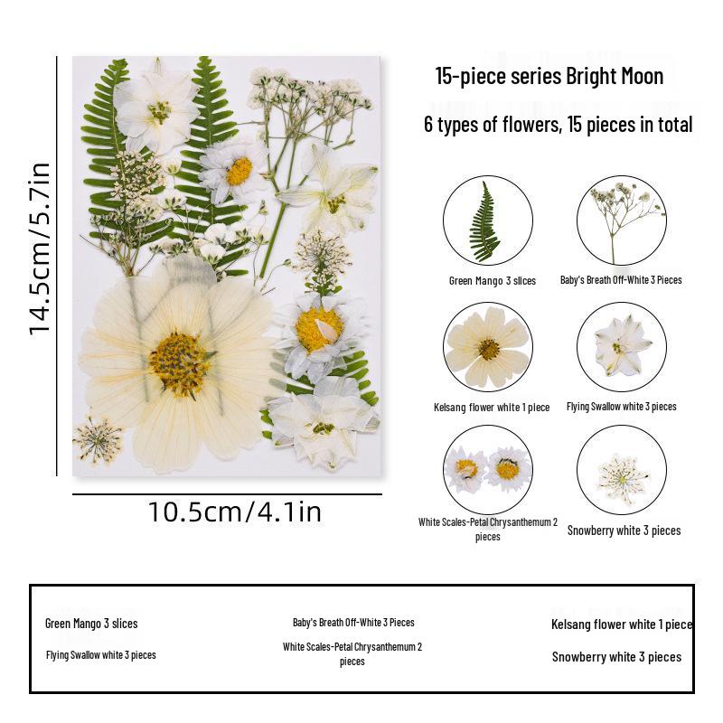 DIY Dried Flower Specimen Sticker Set for Kids: Handmade Pressed Flower Frames & Resin Bookmark Craft Kit