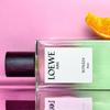 Loewe Aire Sutileza Elixir Eau De Parfum 100ml