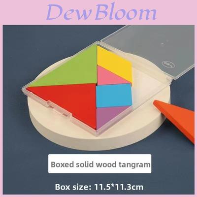 Wooden Geometry Tangram Wooden Stick Set Teaching Aids For Grade One Students
