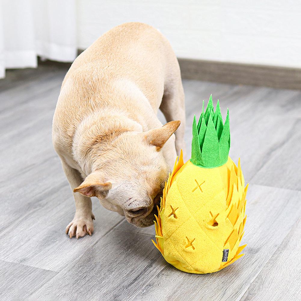 pineapple dog toy