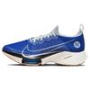 Air Zoom Tempo NEXT% Flyknit 'Blue Ribbon Sports' Sneakers Casual DV2147-400
