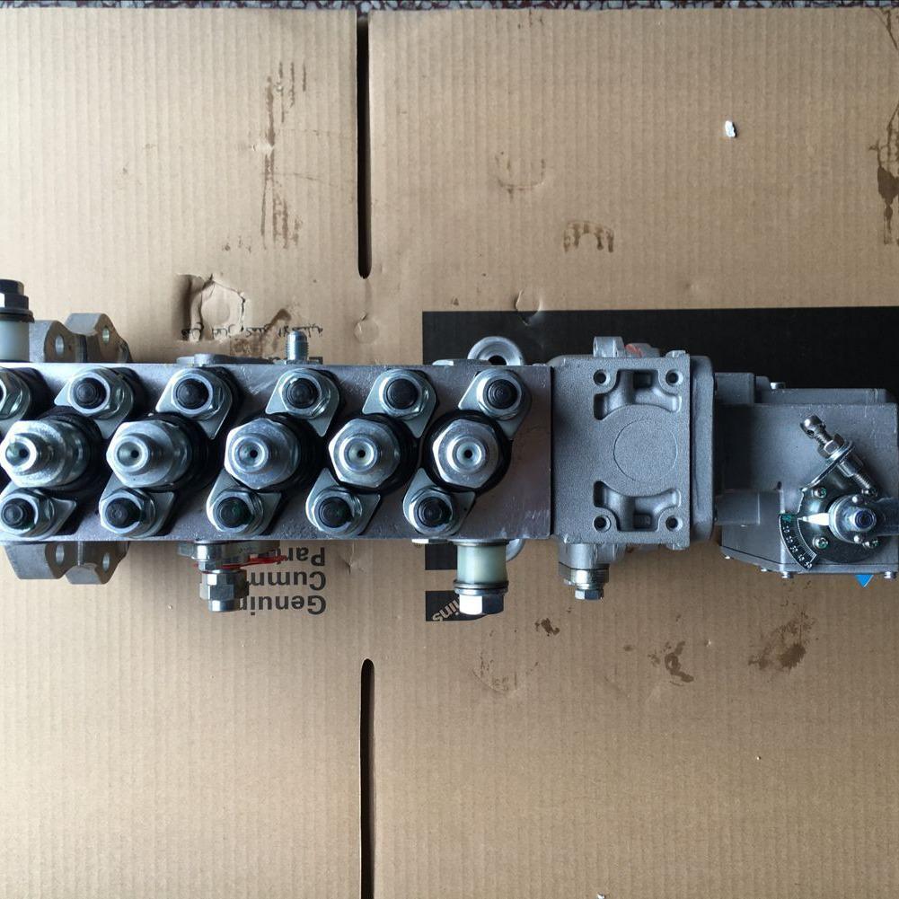 300KW Generator Engine PT Fuel Pump for Dongfeng/Cummins 4915430
