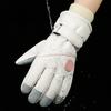 Ski Gloves Women's 2026 New Autumn and Winter Velvet Thickened Warm and Cold Touch Screen Electric Vehicle Riding Gloves