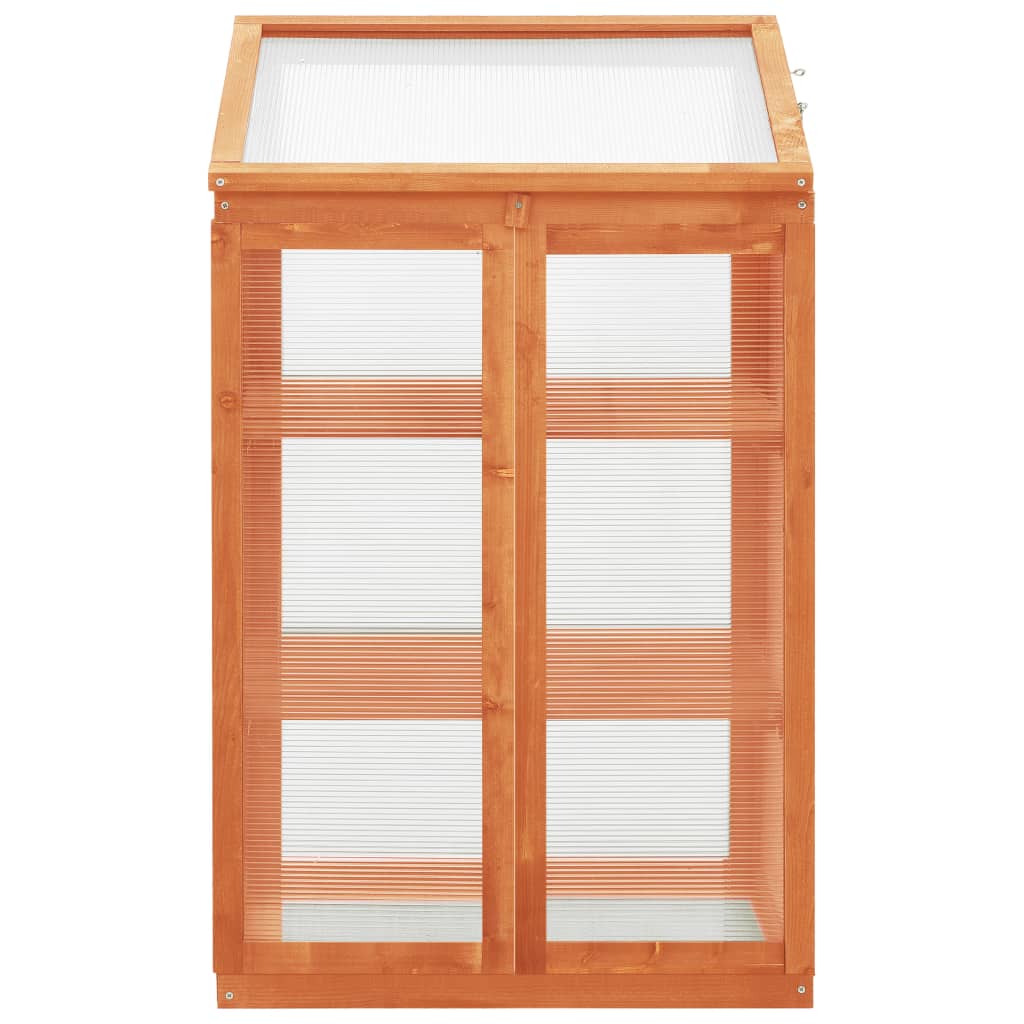 vidaXL Gewächshaus 60x45x100 cm Tannenholz