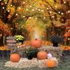 Autumn Tree Lined Path Tapestry Warm Fairy Lights Photography Backdrop