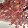 Large Artificial Cherry Blossom Tree for Indoor Display and Landscape Decoration