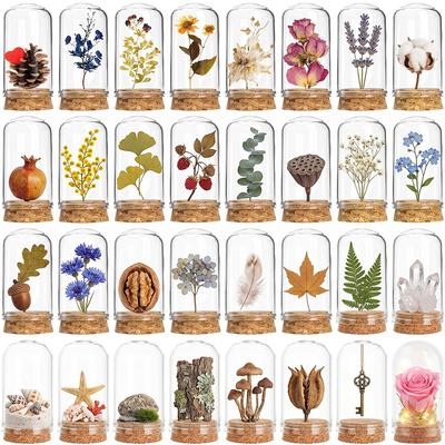 24 Pack Glass Cloche Dome Wedding Decorations Glass Bottles with Cork Stoppers Decoration Message Glass Bottle Vial Cork Candy