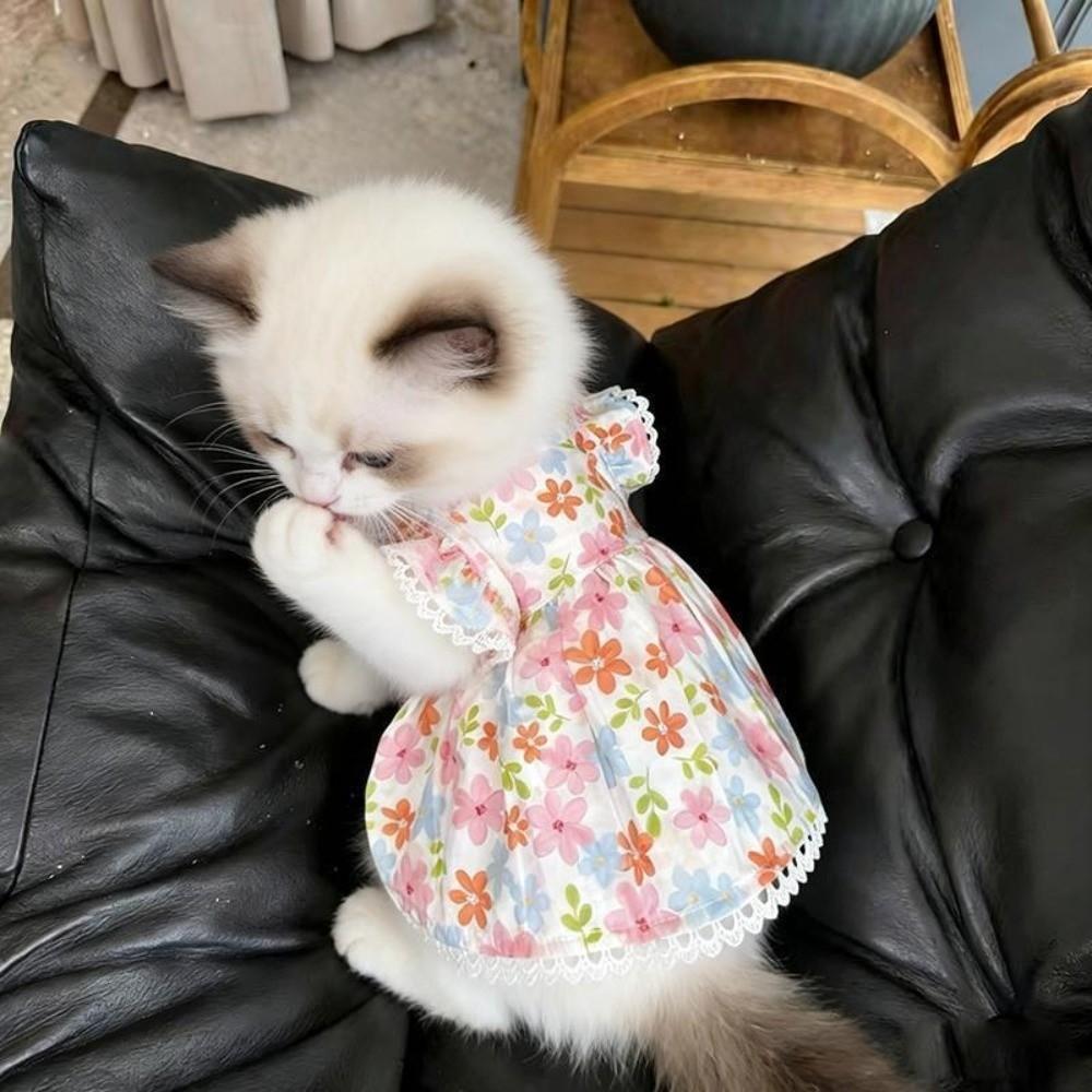 Summer Puppy Skirt Floral Print Corgi Teddy Clothes New Cat Dog Skirt  for Small Dog