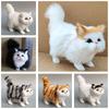 Realistic Plush Cat Toy Soft And Comfortable Decoration For Your Room Or Office 4.7 Inches