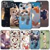 Handyhülle Cover für iPhone 17 Pro Max 16 15 14 13 12 11 Pro Max Plus 17AIR Stoßfest Weiche TPU Hülle Niedliche Katze Fundas Capas Taschen