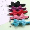 Pet Collars Pet Bow Bell Collars Cute Cat Collars Pets Supplies Multicolor Adjustable Pets Dressing Tool Pet Accessories Cats