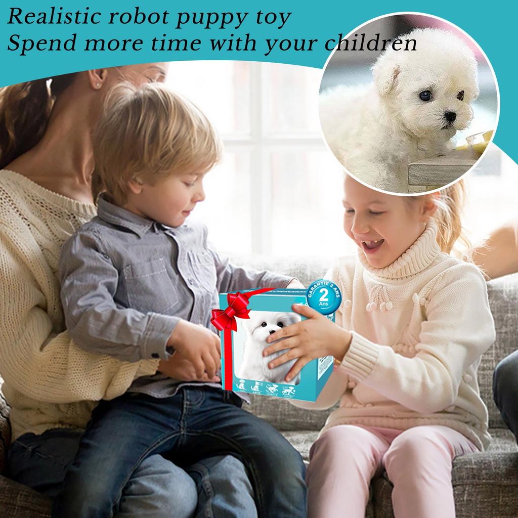 Cute Plush Doll Toy Gift Cartoon Children's Rag Doll Doll