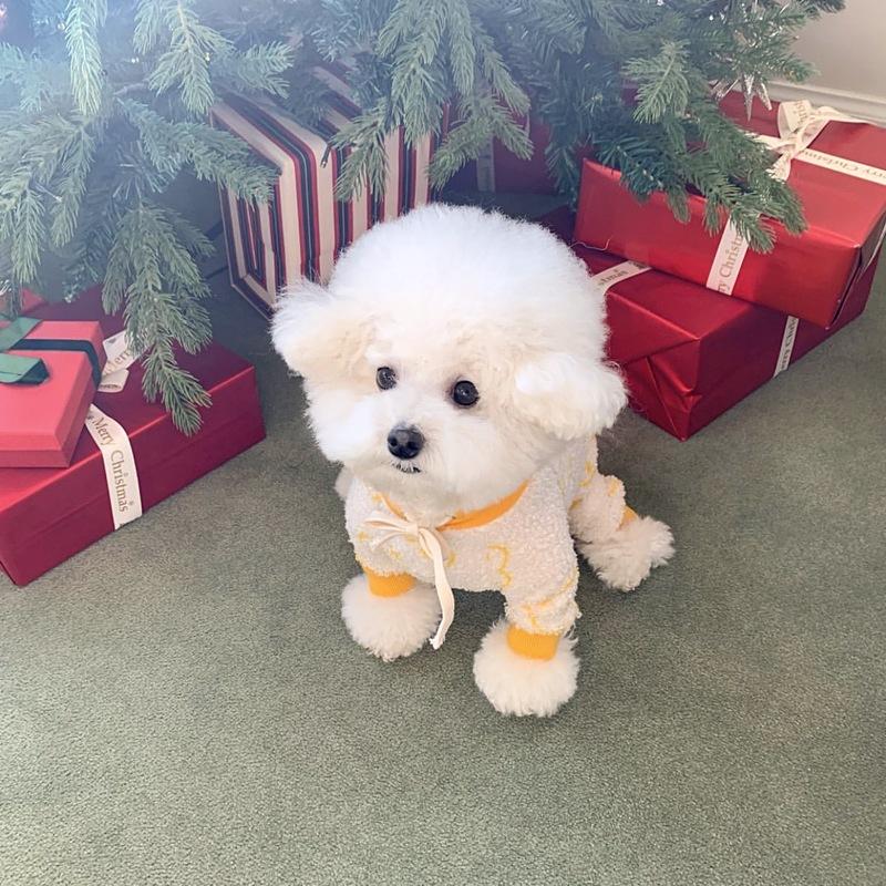 Pet hooded four-legged clothing for small dogs, new autumn style
