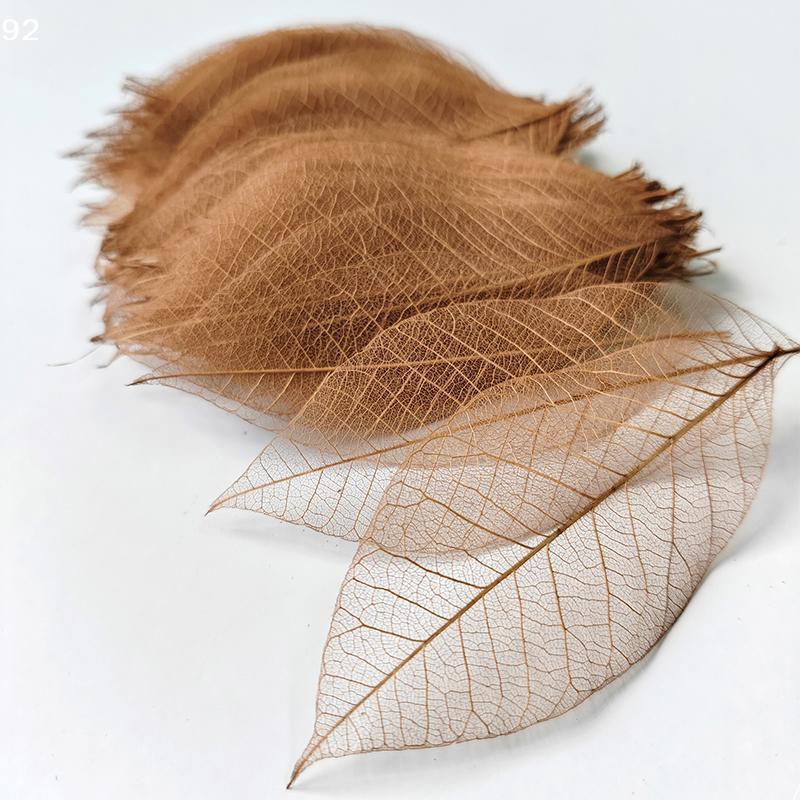 5~9CM*2~3.5CM,10PCS/Set,Real Dried Natural Vajra Leaf ,Pressed Dry Flowers Skeleton Leaves,DIY Wedding Decoration