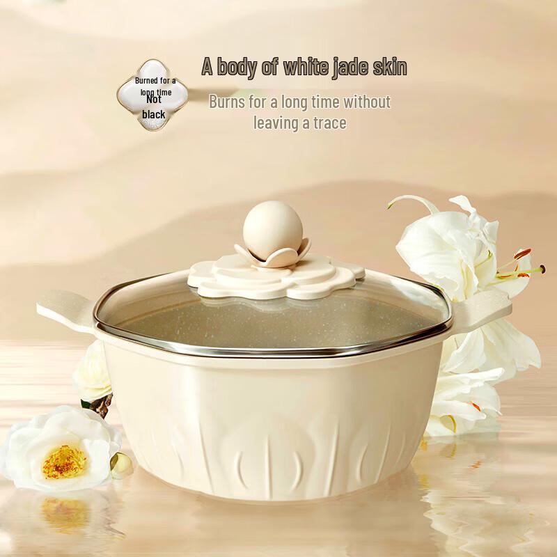 Velosan Enamel Cast Iron Double Handle Soup Pot