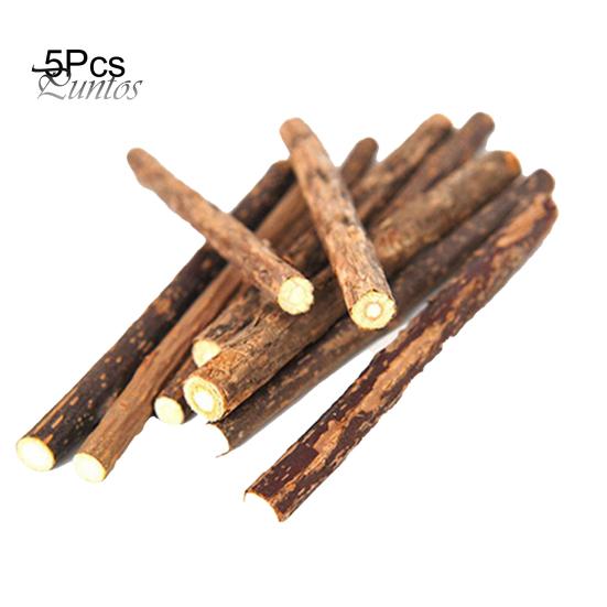 5Pcs/1Bag Pet Cat Kitten Chew Stick Treat Toy Natural Matatabi Catnip Molar Food