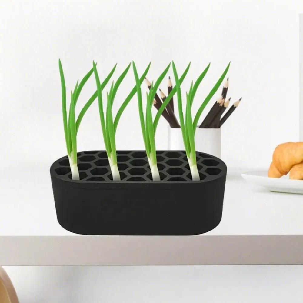 Plants Growing Scallion Regenerator Hydroponic Growing Tray Seedlings Starter Tray Home
