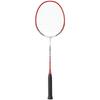 Badminton Racket Set of 2 with Shuttle for Beginners Practice Training Waterfowl Standard Yonex Case Gut Tensioned MP2 White X 2 Red Shuttle (114 +