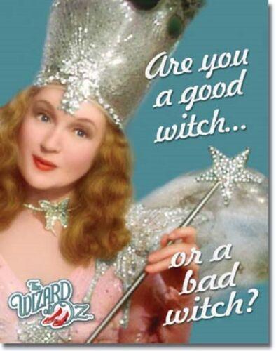 

Good Witch or Bad Glinda Dorthy Movie Wall Decor Metal Tin SignAluminum 20x30cm（7.8x11.8inch）
