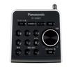 Panasonic FM/AM Dual-Band Radio RF-200BT-W