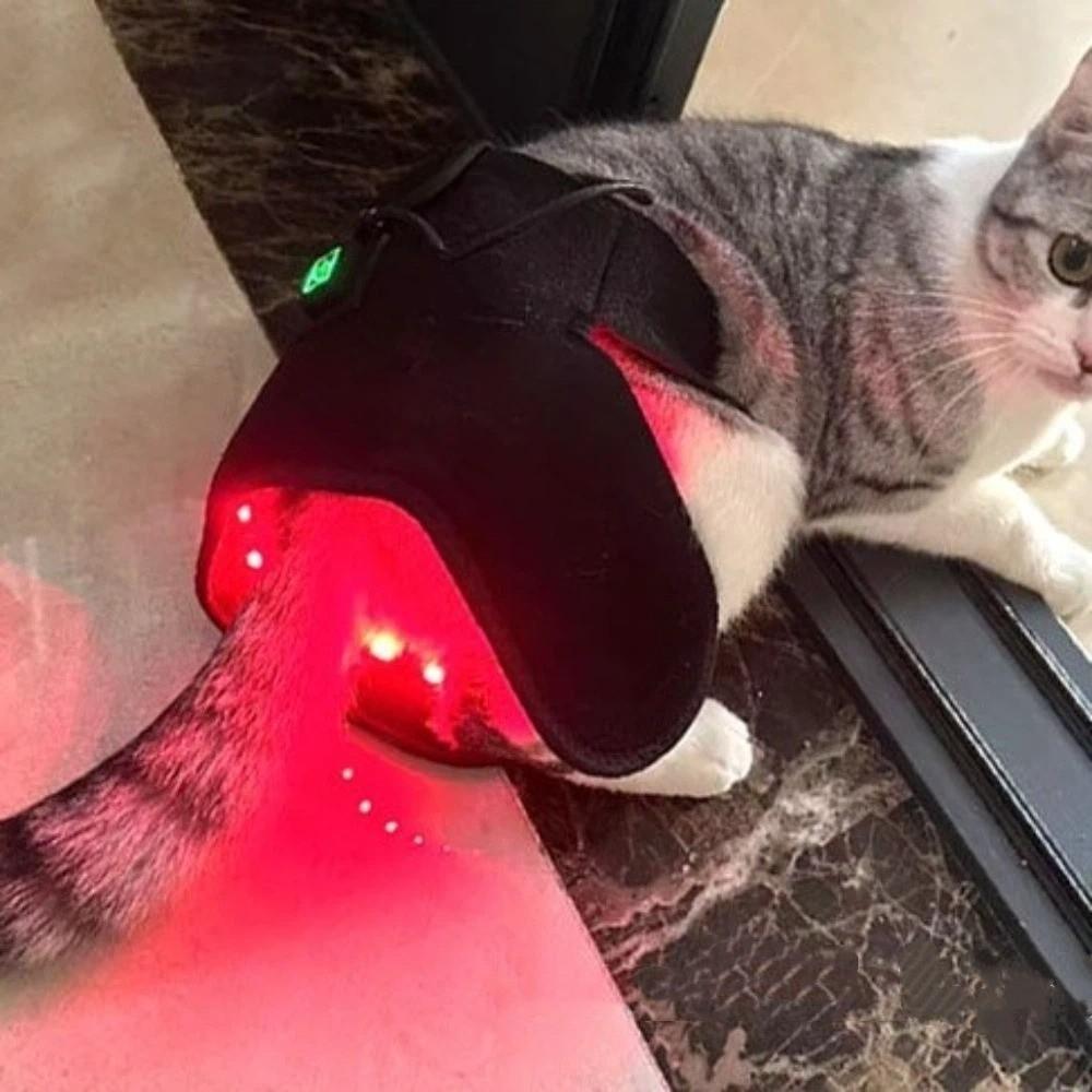 LED Light Source Pet Red Light Recovery Device Dog Recovery Sleeve Postoperative Rehabilitation
