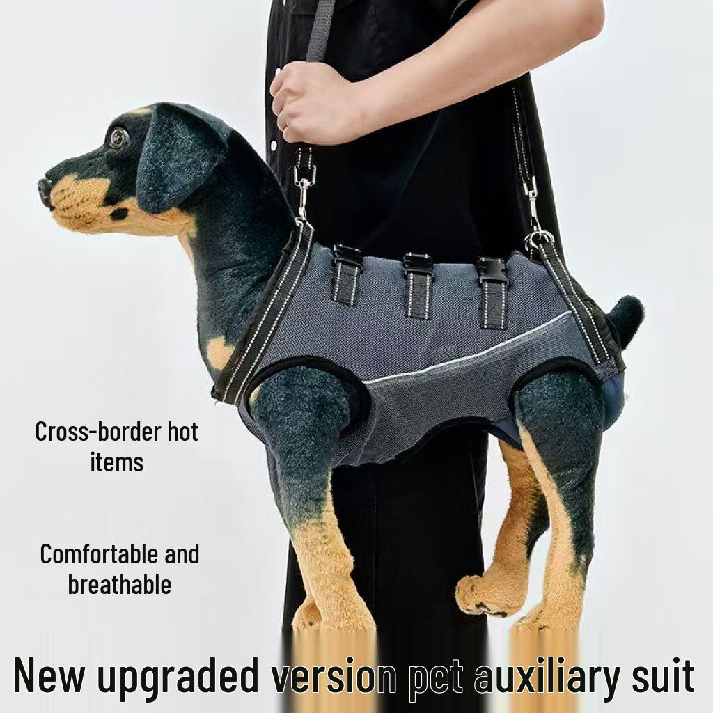 Pas wspierający tylną nogę starszego psa: Pomoc w poruszaniu się dla psów słabych lub kontuzjowanych