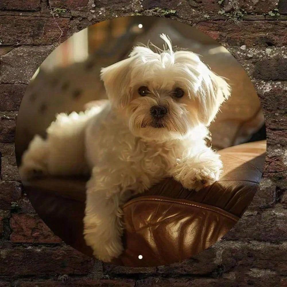 Maltese Dog Metal Wall Art Poster, White Maltese Canine Home Decor