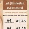 Child's Award & Art Certificate Album - A3/Boy & A4/Girl Transparent Loose-Leaf Storage