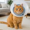 Breathable Pet Protective Collar Adjustable Transparent Anti-Bite Collar Bite Resistant Anti-Scratch Recovery Cone Collar