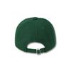 DOLPHIN WAVE APPAREL Ocean Heritage Dolphin Ball Cap_123825DN
