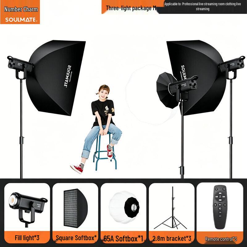 SOULMATE E300BiMax 300W Bi-color COB LED Photography Video Light