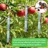 Bird Scare Laser Tape Repellents Double Sided Pigeons Birds Away Reflective Ribbon Deterrent Tapes for Outdoor Garden Orchard